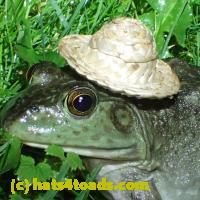/home//u458753944/public_html/sourcegallery//Frogs/More bullfrogs/P6020095.JPG